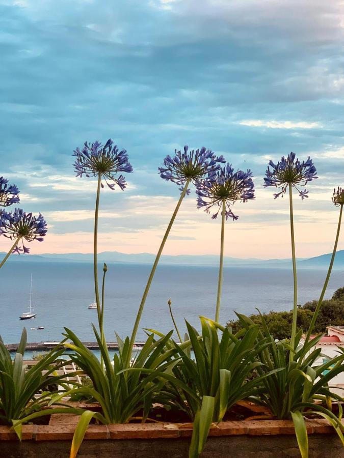 B&B L'Agapanto Capri Buitenkant foto